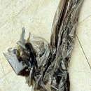 메가커피안성공도점 | 안성 평택 쉐보레 크루즈 썬팅은 하노카 멀티샵에서!