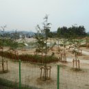 빗물펌프장 이미지