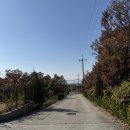 하점면-6 | 우니메이카 강화 방문 정보 및 후기(커플 4번 사이트) - 2025.11.14. ~ 11.16. 방문