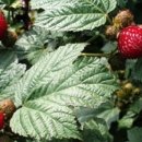 상동농장 이미지