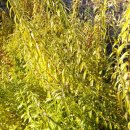 노내골농장 이미지