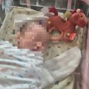 농출산물 마트 | [20대 출산] 서울아산병원 1인실 유도분만 실패 후 제왕절개 입원, 고지혜 교수님 짱짱