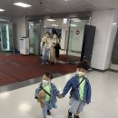 여름귤집 | 제주살이 숙소편-여름귤집