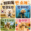 피피독 네이버블로그