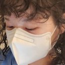 아라미용실 - 세종특별자치시 | 아라미용실