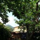 정운세탁소 이미지