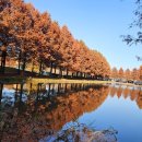 진실의방 이미지