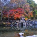 고원초등학교 이미지