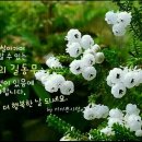 연산홍 - 용인시 처인구 한터로 34 | 연산홍