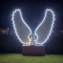 파라독스글램핑 | [태안] 파라독스 애견 펜션 돔 글램핑장, 오토캠핑장 방문 후기