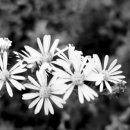 산생경로당 이미지