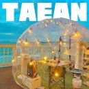 여수돔비치펜션 | 태안 이글루돔 골든비치펜션 바베큐, 조식 후기/비용, 시간