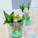 운유초병설유치원 이미지