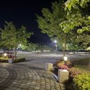 신정목욕탕 | 충남 천안 아산 신정호수 공원 등나무 위치 스텔스 차박 캠핑