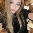 신촌애견미용실 이미지