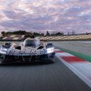 로얄종합카 이미지