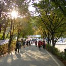 장동 계족산마을 이미지