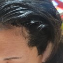 주식회사베베키즈팜 이미지