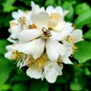 가로행정사사무소 이미지