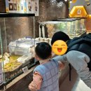 성체유치원 | 바퀴벌레 먹이주기? 생물도감 테마파크에서 색다른 경험하기, 521생태체험장 내돈내산 후기