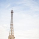 콩이파리 이미지