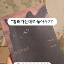 밤의사색 이미지