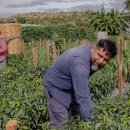 HONESTY CAMP 이미지