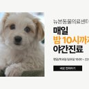 뉴본동물의료센터 이미지