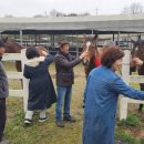 궁평목장 이미지