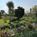 모네의 정원 이미지