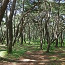 신덕1리 공중화장실 이미지