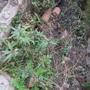 발리모텔 이미지