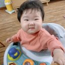 시율파파