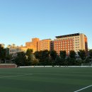 2025 마르크 샤갈 특별전 관람 후기 - 서울 예술의 전당 한가람 미술관