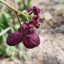 단지골 농장 이미지