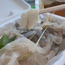 경주수산시장