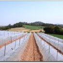 진등3로 이미지