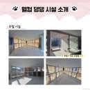 웰컴댕댕 이미지