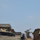 태안환경개발(주) | 태안여행 | 호텔어라이브 태안 한옥비치리조트 내돈내산 아기랑 방문 후기 (풀꽃1)