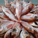 송도수산 이미지