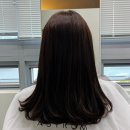 손 지아 헤어