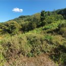 수하보건진료소 이미지