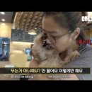 개토농장 이미지