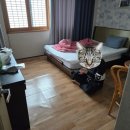 신촌온천 이미지