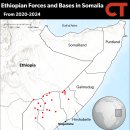 Africa File 특별판: 앙카라 선언은 에티오피아-소말리아 긴장을 완화하지만 해결되지 않은 격차를 남김 이미지