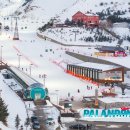 나무아이라이브홀 이미지