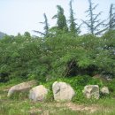 펜션,전원 주택 조경꾸미기 이미지