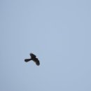 너울공원 이미지