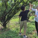 동건농장 이미지