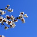 충무공파출소 이미지